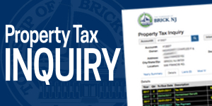 Property Tax Inquiry